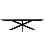 Ovale Eettafel Zwart Mangohout - 160 cm - Matrixpoot