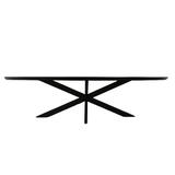Ovale Eettafel Zwart Mangohout - 210 cm - Matrixpoot