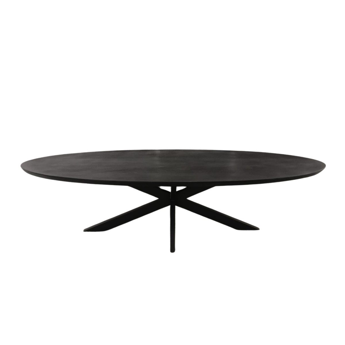 Ovale Eettafel Zwart Mangohout - 160 cm - Matrixpoot