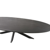 Ovale Eettafel Zwart Mangohout - 180 cm - Matrixpoot