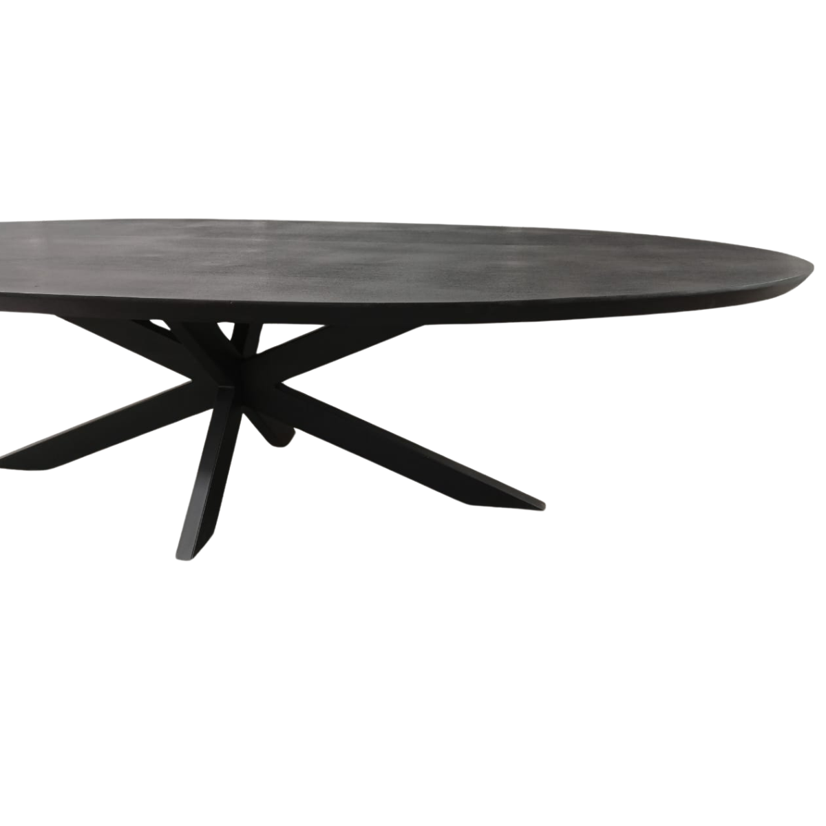 Ovale Eettafel Zwart Mangohout - 160 cm - Matrixpoot