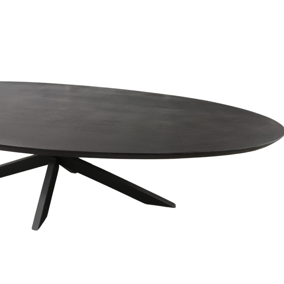 Ovale Eettafel Zwart Mangohout - 160 cm - Matrixpoot