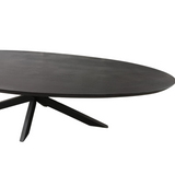 Ovale Eettafel Zwart Mangohout - 210 cm - Matrixpoot