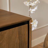 Tv-meubel - Naturel - Mangohout - 120 cm - 2 Deuren - Greeploos