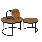 Ronde Salontafel Naturel Mangohout - Set van 3 - 70 cm