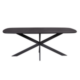 Eettafel - Deens-ovaal - Zwart - Mangohout - 200 cm