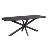 Eettafel - Deens-ovaal - Zwart - Mangohout - 200 cm