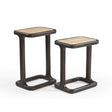 Bijzettafel - Bruin Mangohout & Travertin - Set van 2 End Tables Starfurn