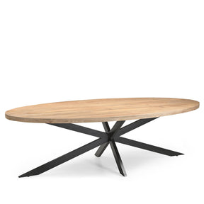 Eetkamertafel Ellips 25+25 270 Benoa